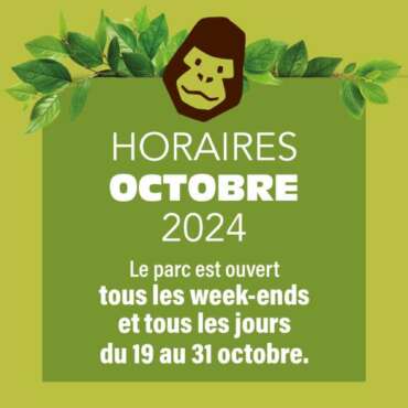 Ouverture Vallée des Singes Octobre 2024