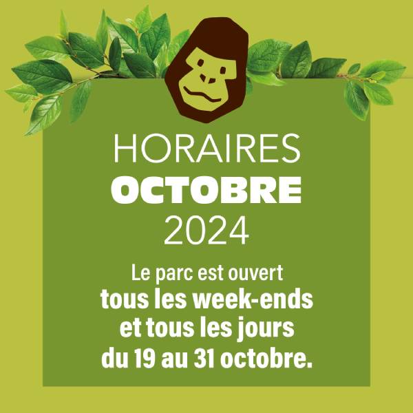 Ouverture Vallée des Singes Octobre 2024