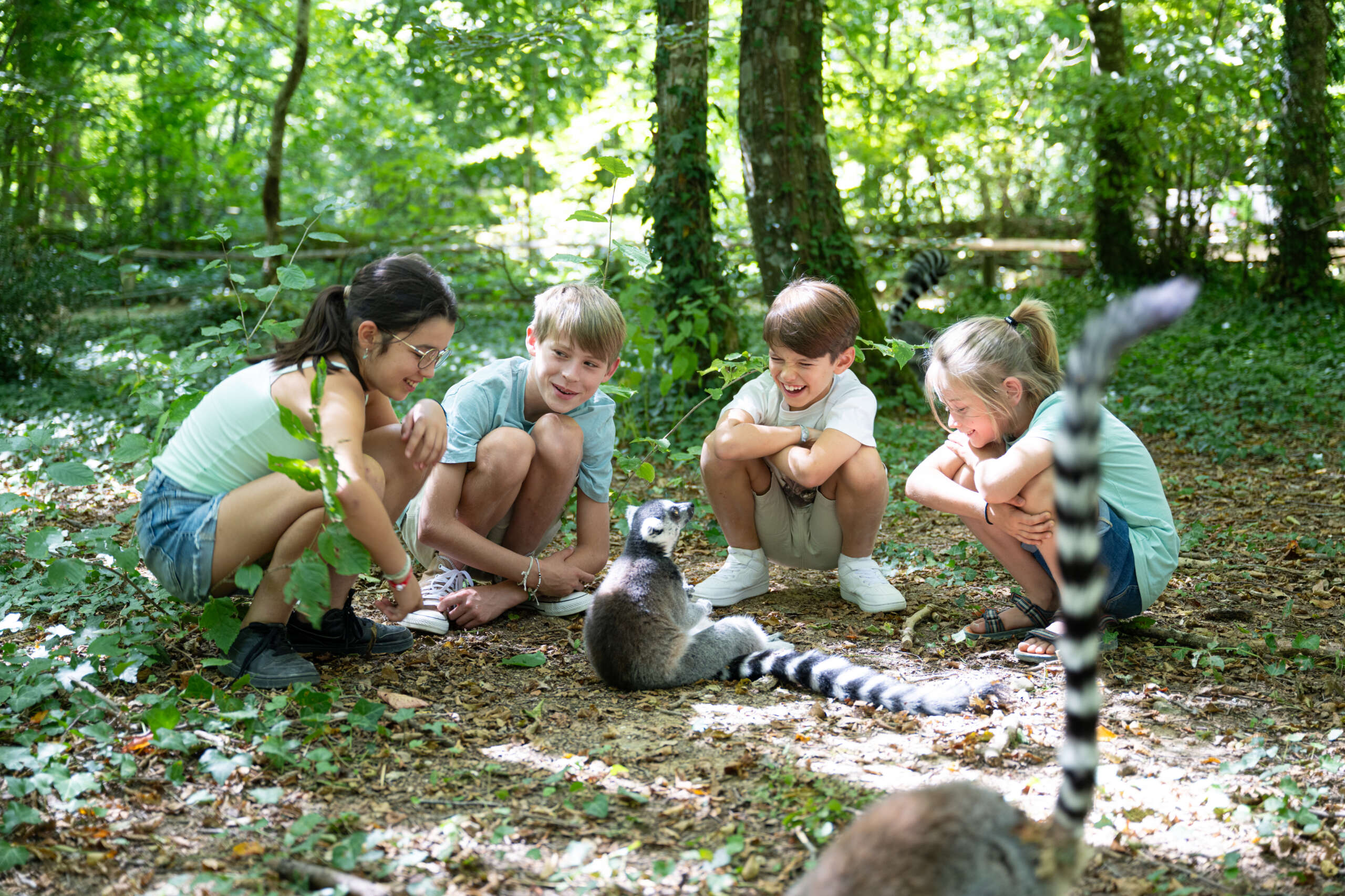 4 enfants autour de Lémuriens à la Vallée des Singes, Romagne (Vienne)